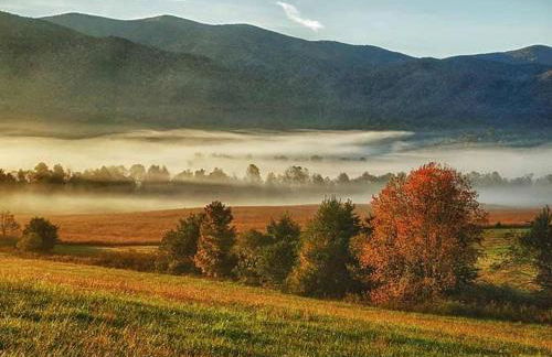 Peaceful Smoky Treehouse| Hot Tub • Hammock • Deck - Foto 4