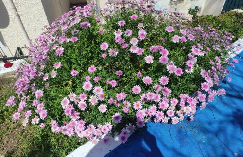 Sunrise View House - Foto 47