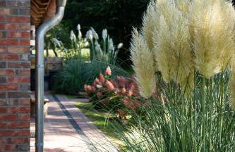 Eiche - Ferienwohnung in Dötlingen mit Waldblick - Foto 28