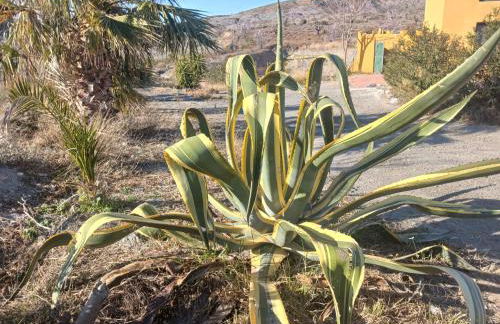 Casa rural los Cerezos - Foto 68