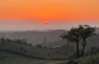 Três Figos - Foto 72