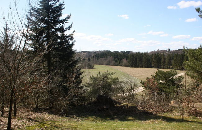 "Piia" - 800m from the sea - Foto 9