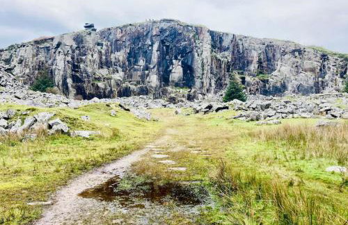The Apple Shed - cosy cabin nestled in orchard in rural Devon - Foto 34