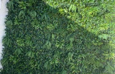 Angeleyes - Foto 20