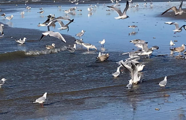 Relax in Your Holiday Home With Sauna, Near the Beach of Noordwijk - Foto 36