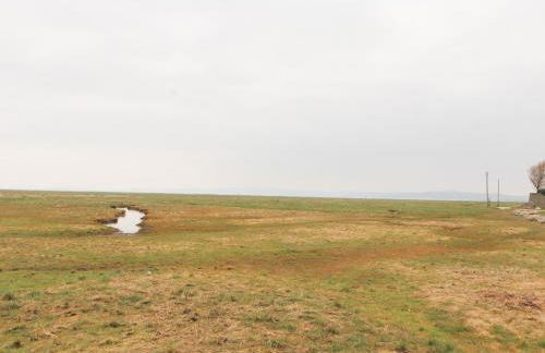 12 Merefell Road - Photo 25