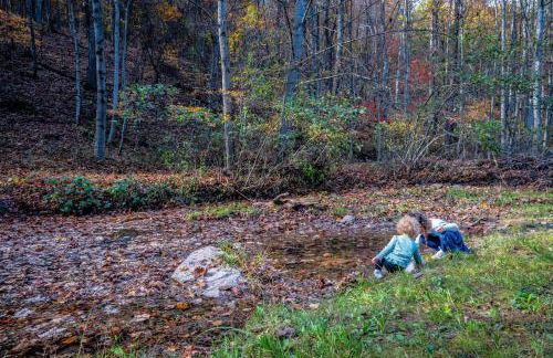 Overlook at Sleepy Creek -- Sleepy Creek Frontage, Secluded, Grill, Fire Pit, Deck, Family Friendly, Game Room, Fishing, Hammock, View, Fireplace - Foto 75