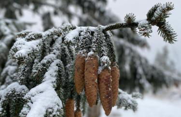 Ferienhaus Anno 1599 - Foto 19