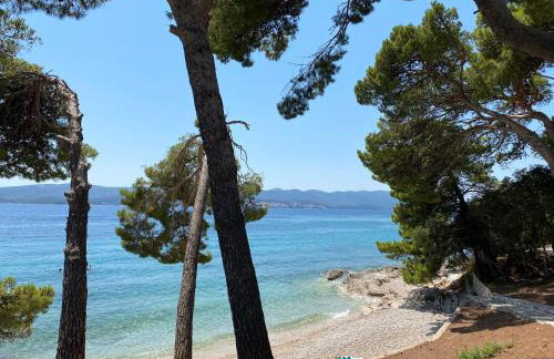 Apartments Marijan - Photo 24