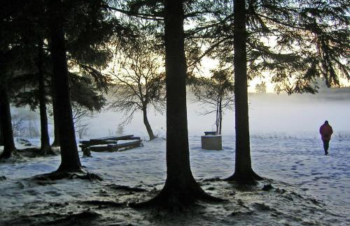 Ferienwohnung im Harz-Haus-Bruns - Foto 65