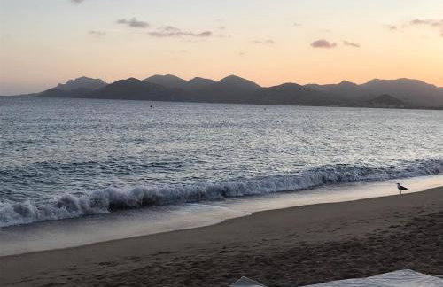 Plage du Midi - Foto 14