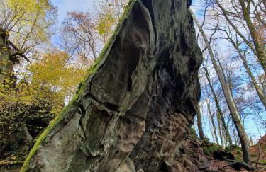 Modernes Studio in Irrel - Foto 14