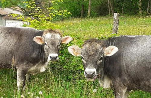 Agriturismo dell'Altopiano - Foto 73