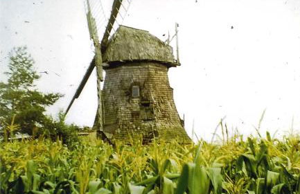 Zur schönen Müllerin - Foto 10