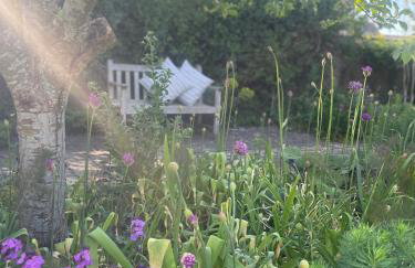 The Old Piggery - tranquil garden guest cottage - Foto 15