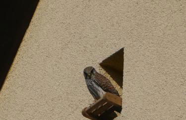 Terrassenwohnung - Foto 32