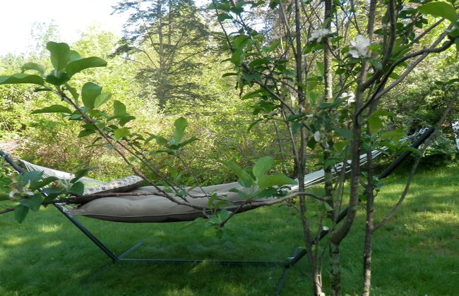 Denmark Stage Stop House - Photo 10