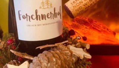 Forchnerhof Panorama - Dolomitenblick - Foto 4