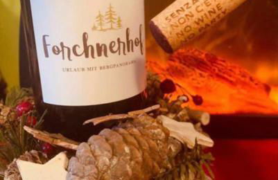 Forchnerhof Panorama - Dolomitenblick - Photo 4