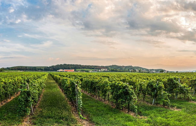 Tenuta La Presa - Foto 73