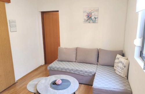 ĆOSIĆ APARTMANI IGRANE - Foto 16