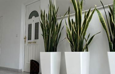 Apartamentos Sardiñeiro - Foto 17