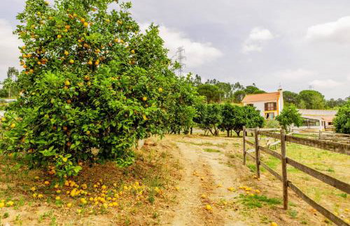 Quinta O Refúgio - Photo 41