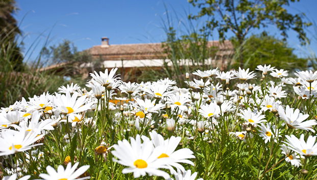 Agroturismo Mondrago -Antic Na Martina- - Foto 4