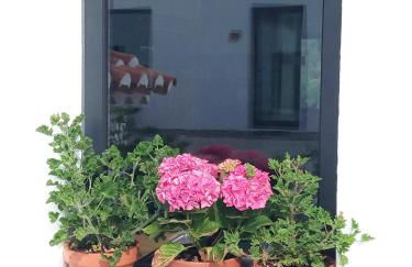 Herdade da Maxuqueira - Foto 46