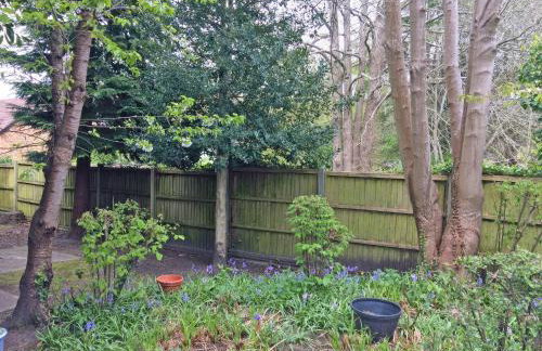 5 Rose Cottages - Photo 18