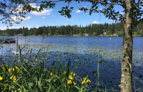 Lakefront Bungalow! 35 Miles to Mt Rainier! - Foto 15