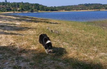 Monte Santo - Foto 50