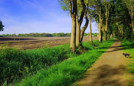 Huus Cöllnöst - Photo 23