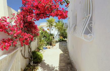 Casa Lima Mediterránea - Foto 8