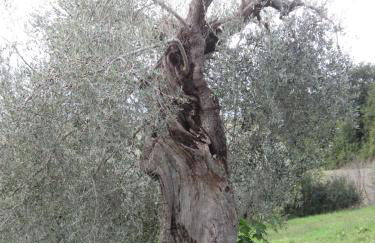 Casa l'Arcobaleno - Foto 17