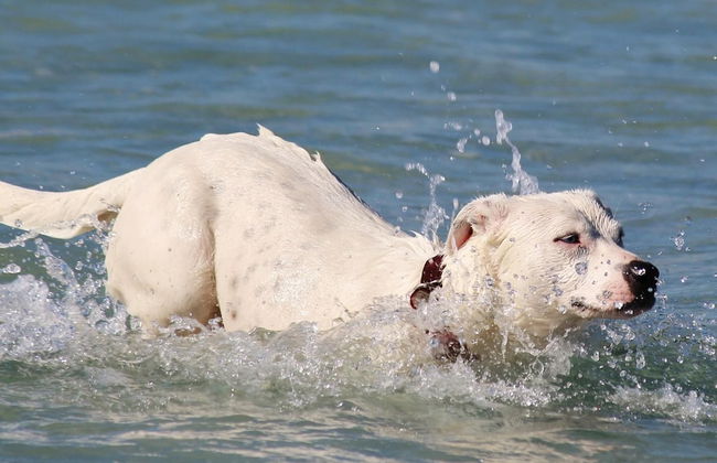 Hotel Sara - 2 Guests Room - n 13 - Foto 36