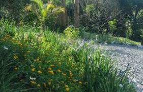 Espaço Isha Canelinha - Foto 64