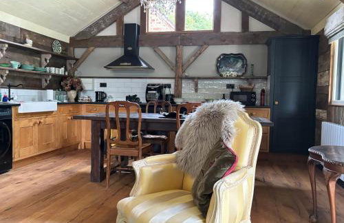 STARGAZER adult only - Foto 30