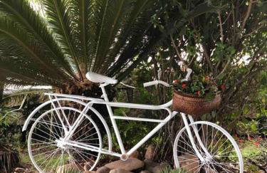 Casa Canasvieiras Florianópolis com piscina e mar - Foto 67