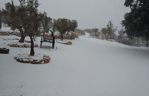 Masia Heredad La Boquilla - Foto 125