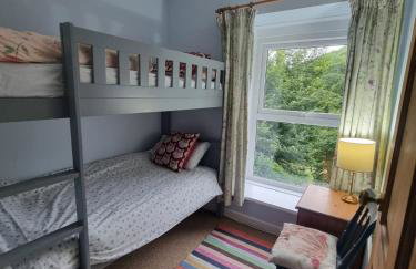 Cosy Cottage overlooking the Teifi Gorge - Foto 23