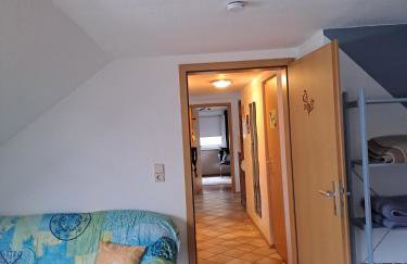 Les Papillons - Foto 12