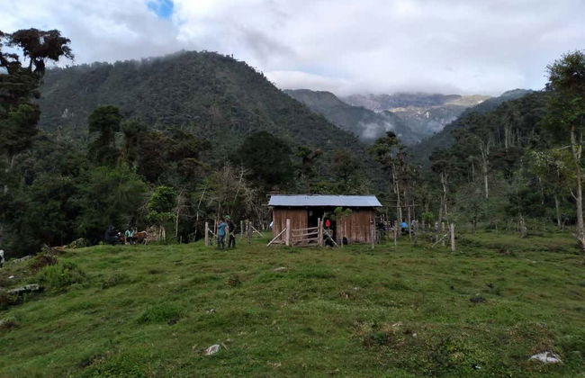 Nevado del Huila 5-day Hiking Tour - Photo 8