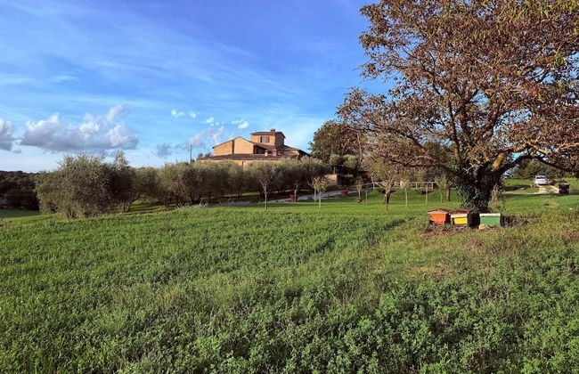 Agriturismo Podere La Paolina - Foto 57