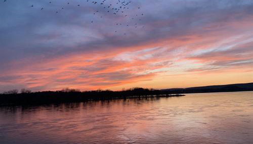 BurgBnB Riverfront - Foto 2