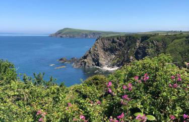 Lofthouse - secluded quirky cottage with sea views! - Photo 52