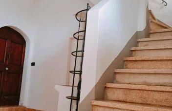 Vien mequé - Photo 2