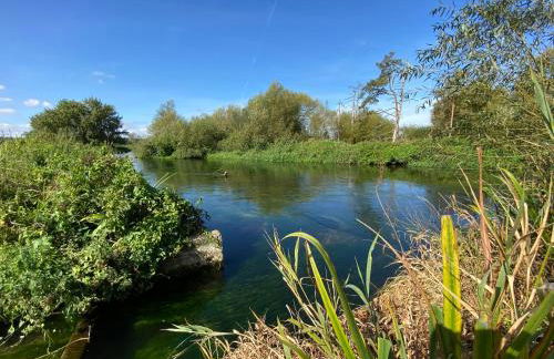 Avon Turn View - Foto 20