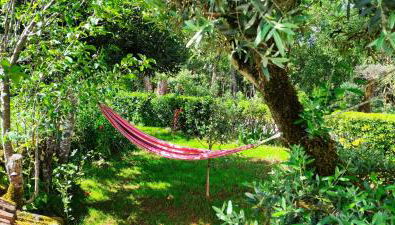 Casa Dos Vales 11 - Foto 3, Garden