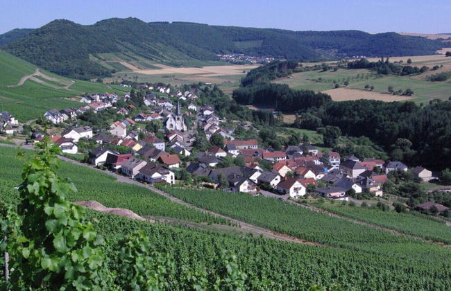 Holiday Apartment Magnolia - Photo 34